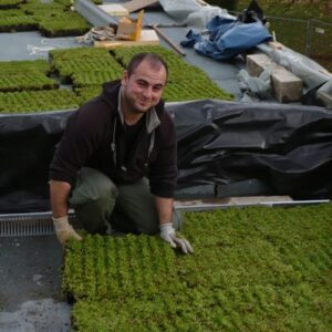 Aménagement des espaces verts par un employé installant des plaques de gazon, Isère