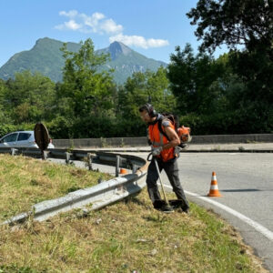 Taille, débroussaillage de bords de routes par Atelier SIIS faisant l'entretien espaces verts grenoble