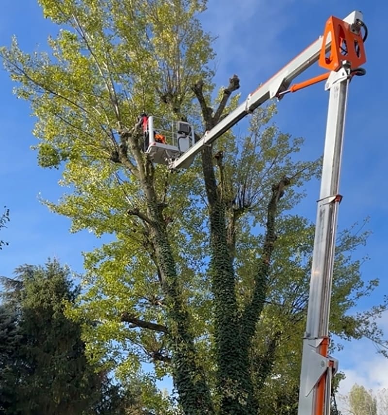 élagage et grande hauteur nacelle pour l'entretien espaces verts grenoble