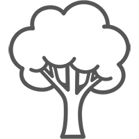 Taille, élagage des arbres par l'Atelier SIIS, prestataire de services