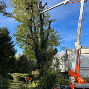 Entretien espaces verts grenoble avec élagage et travaux par nacelle