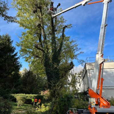 elagage à Grenoble avec Atelier SIIS
