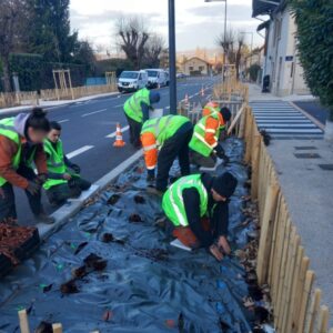 Plantation de végétaux, aménagement des espaces verts, Grenoble