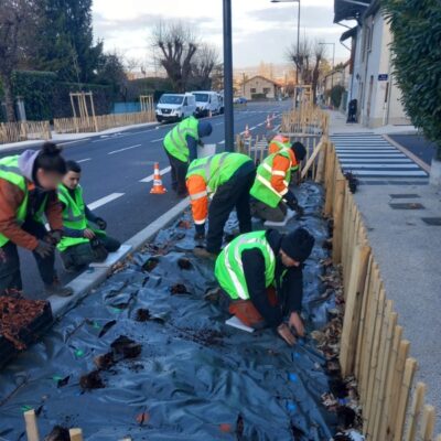 elagage à Grenoble avec Atelier SIIS