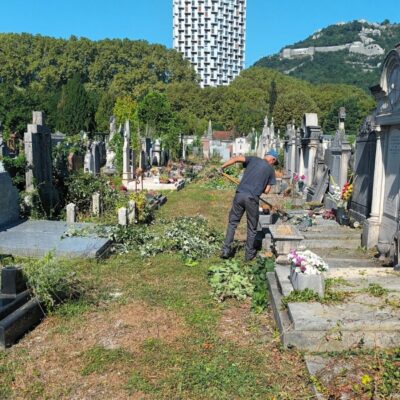 elagage à Grenoble avec Atelier SIIS