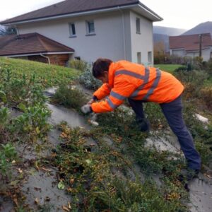 Aménagement des espaces verts particuliers par un employé de l'Atelier SIIS Grenoble