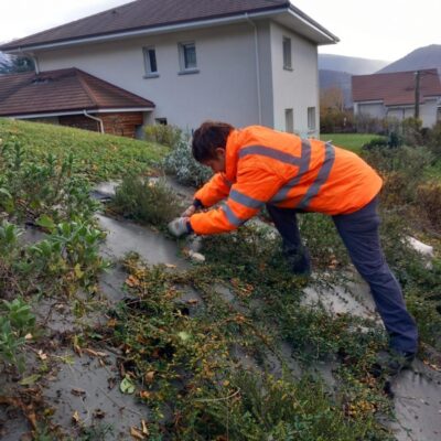 elagage à Grenoble avec Atelier SIIS