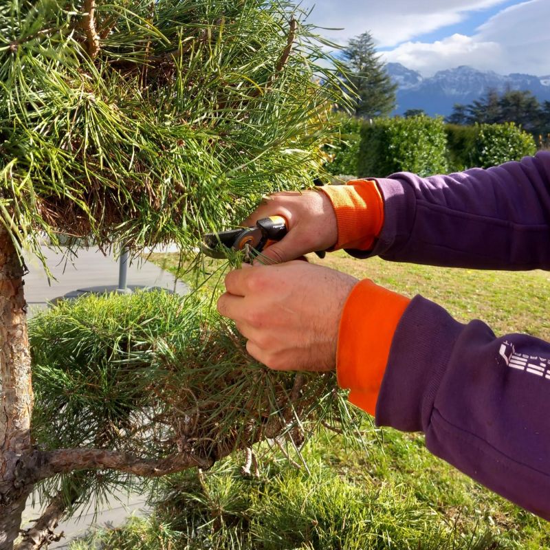 aménagement paysager et entretien espaces verts Grenoble avec l'Atelier SIIS